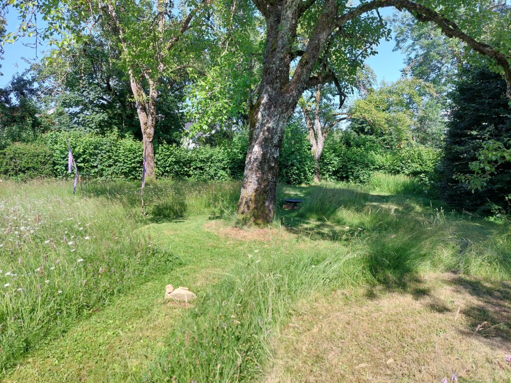 Merkabah et Roue Médecine