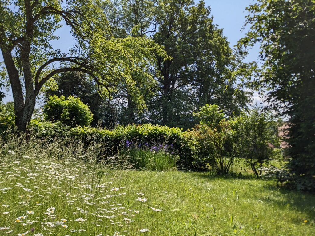 Merkabah et Roue Médecine